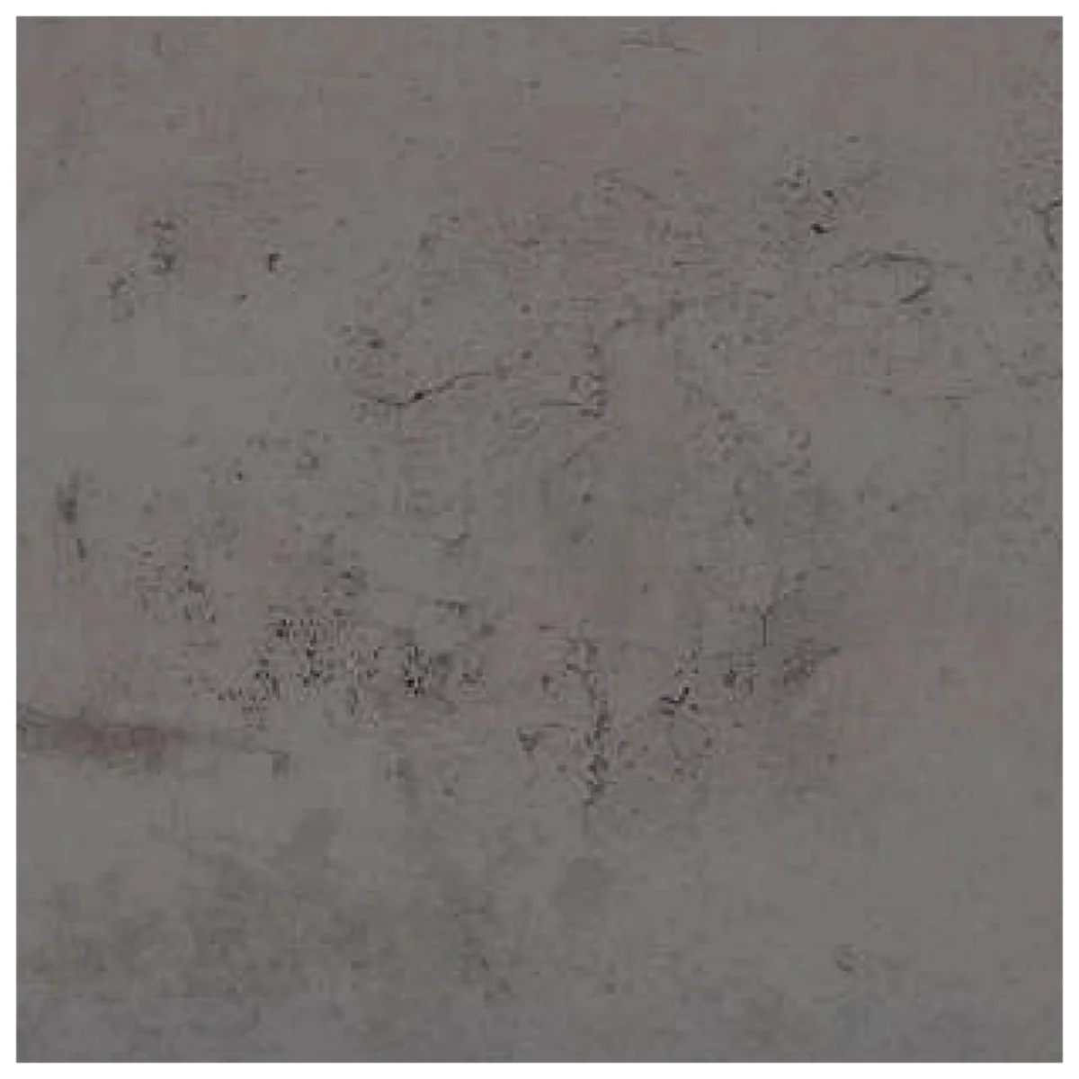 Frikly Basics 1.5 MM Marble & Stone Glossy Acrylic Laminates (Mica/Sunmica) | FBM - 5017 VD
