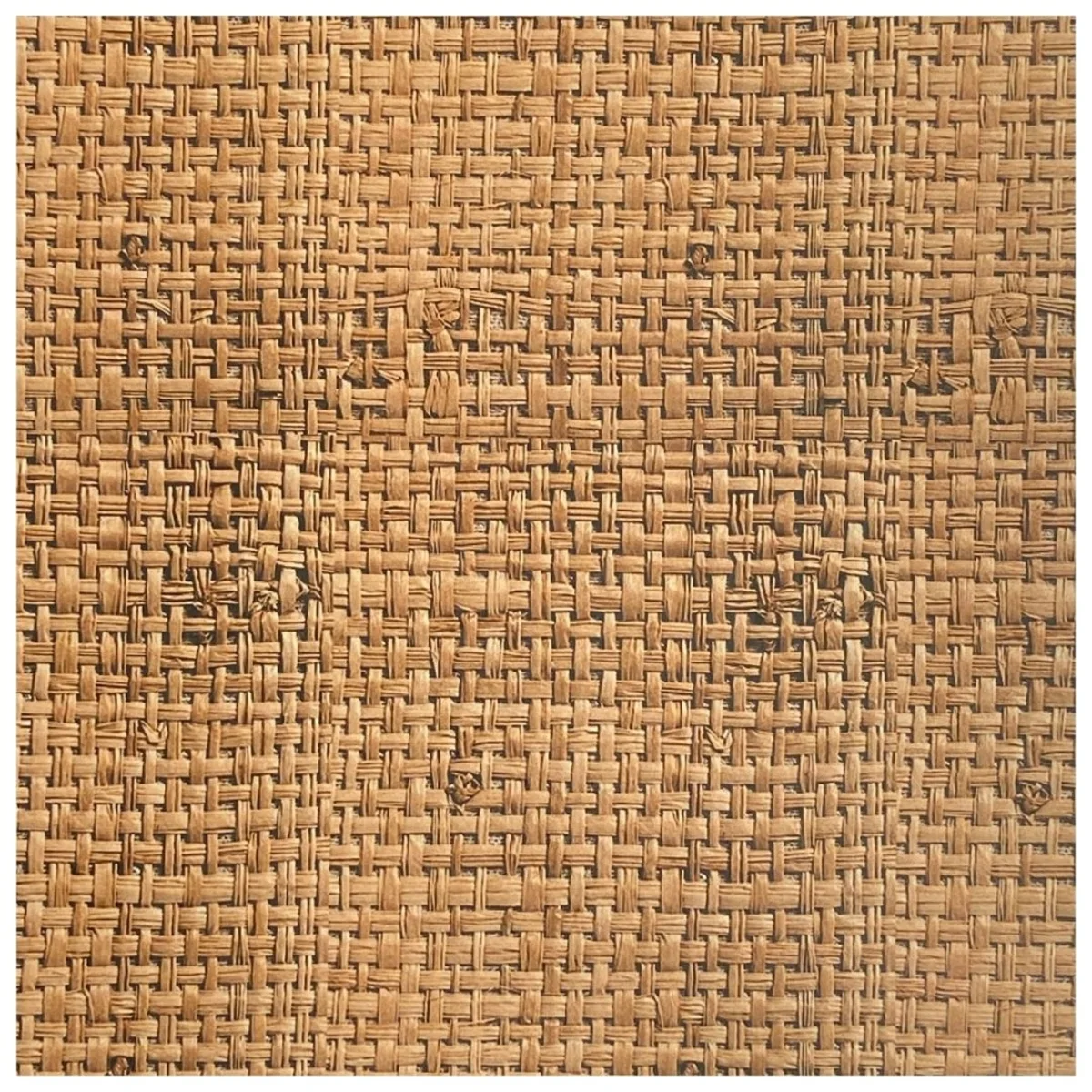 Cane Laminates 1 MM (Mica/Sunmica) 8 Feet * 4 Feet - 701