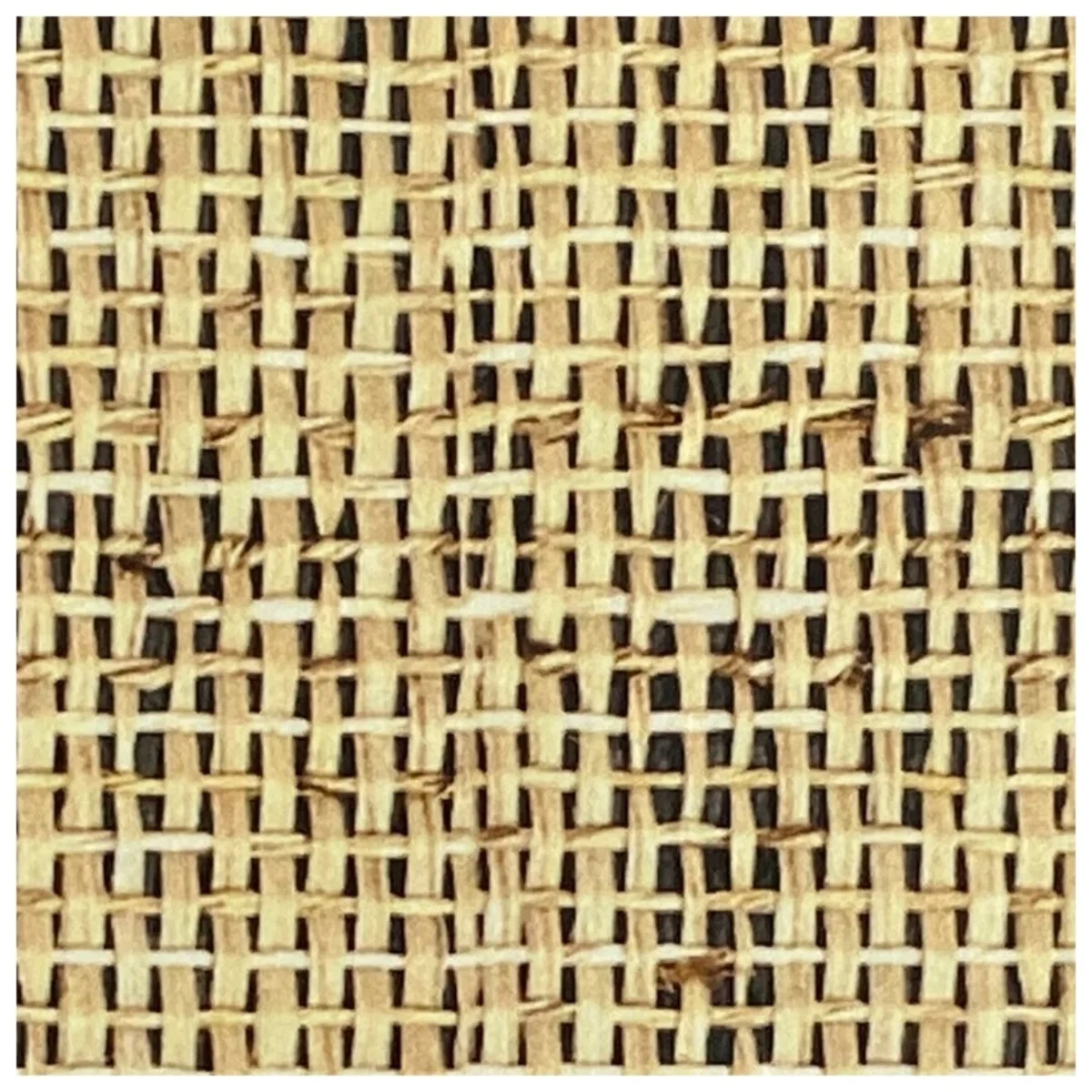 Cane Laminates 1 MM (Mica/Sunmica) 8 Feet * 4 Feet - 703
