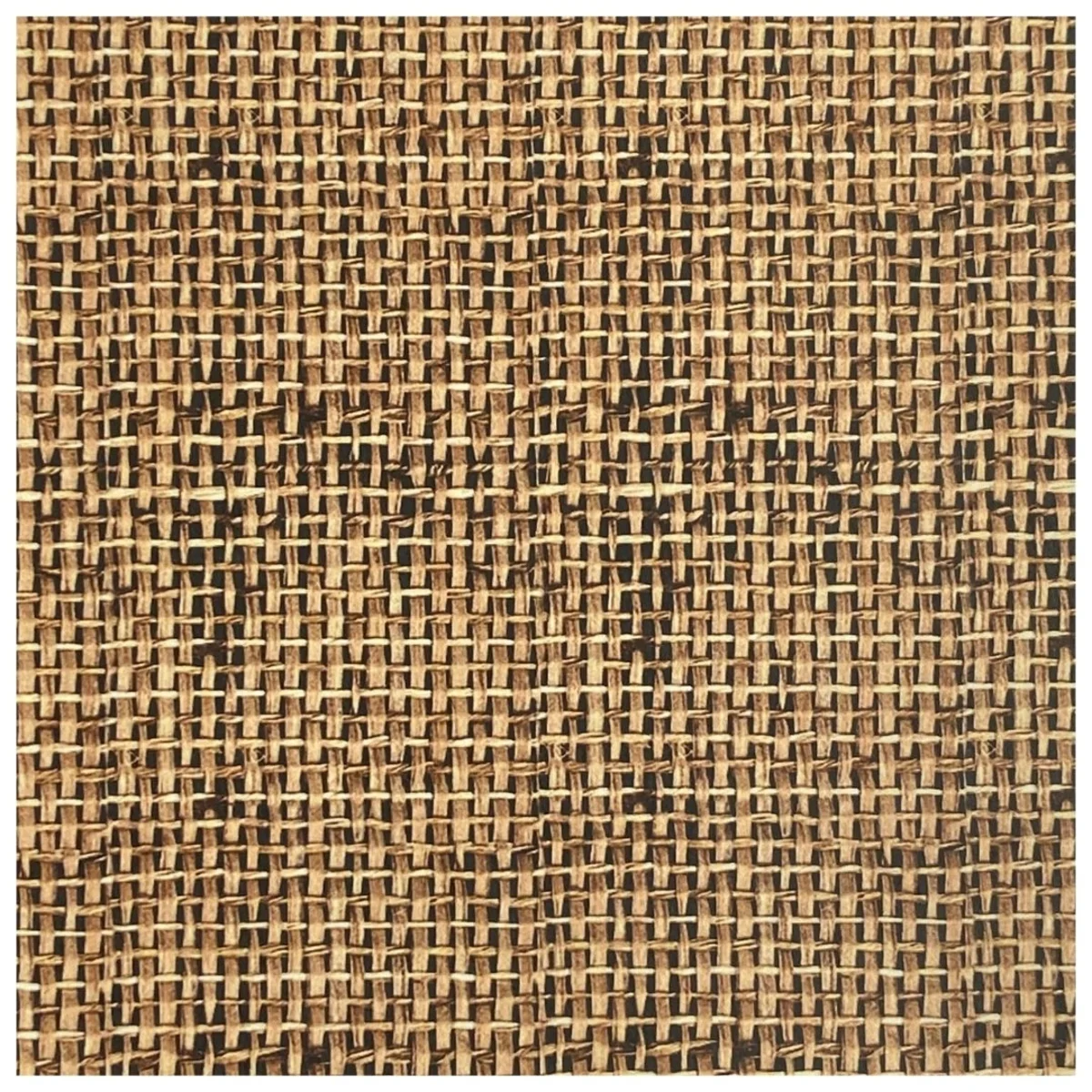 Cane Laminates 1 MM (Mica/Sunmica) 8 Feet * 4 Feet - 704