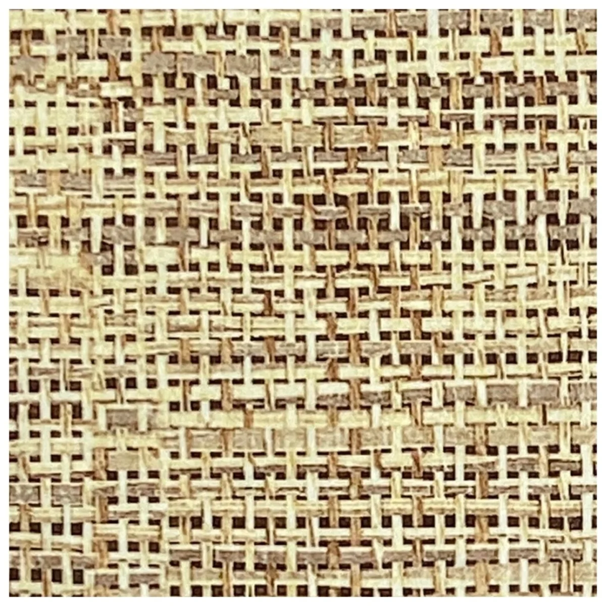 Cane Laminates 1 MM (Mica/Sunmica) 8 Feet * 4 Feet - 705