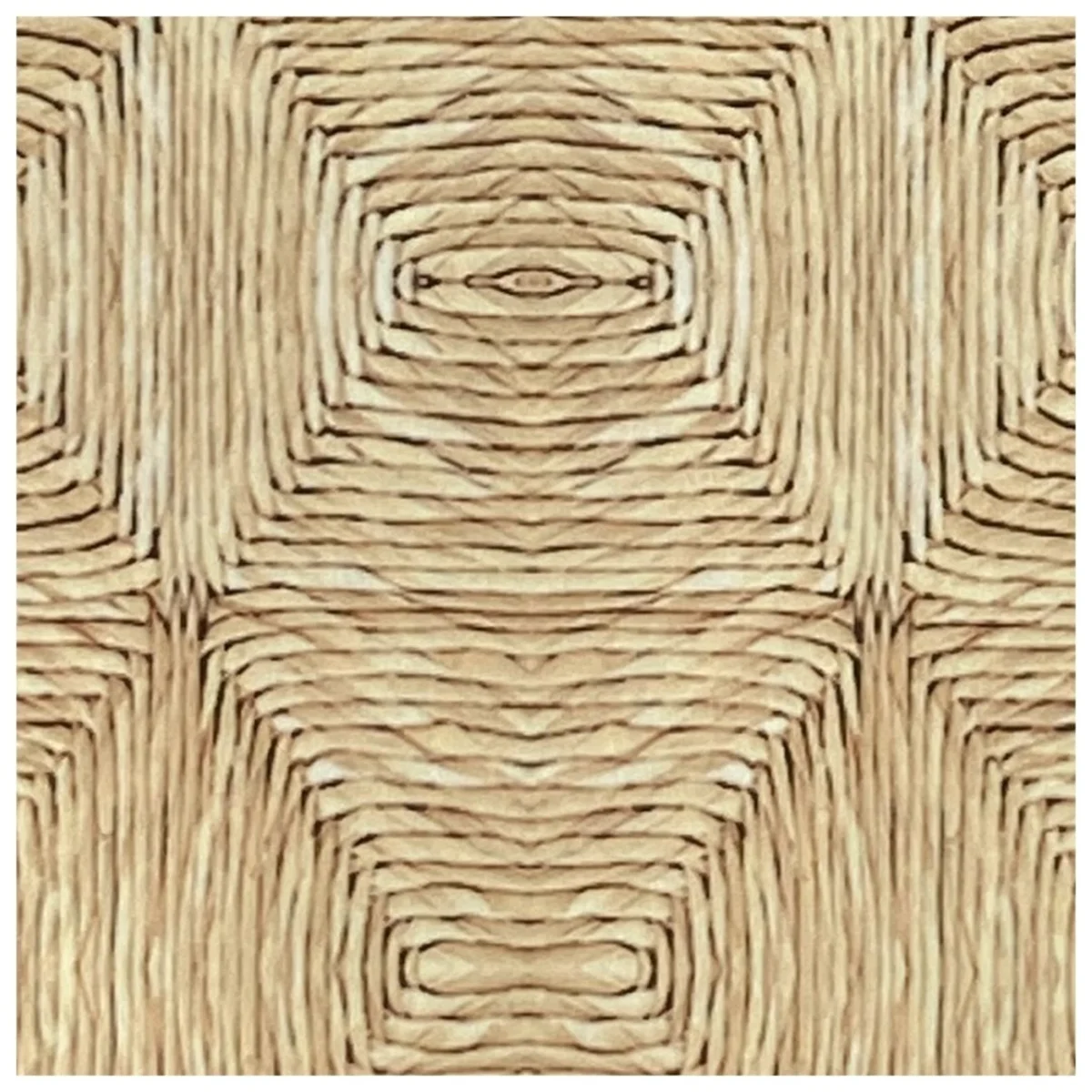 Cane Laminates 1 MM (Mica/Sunmica) 8 Feet * 4 Feet - 727