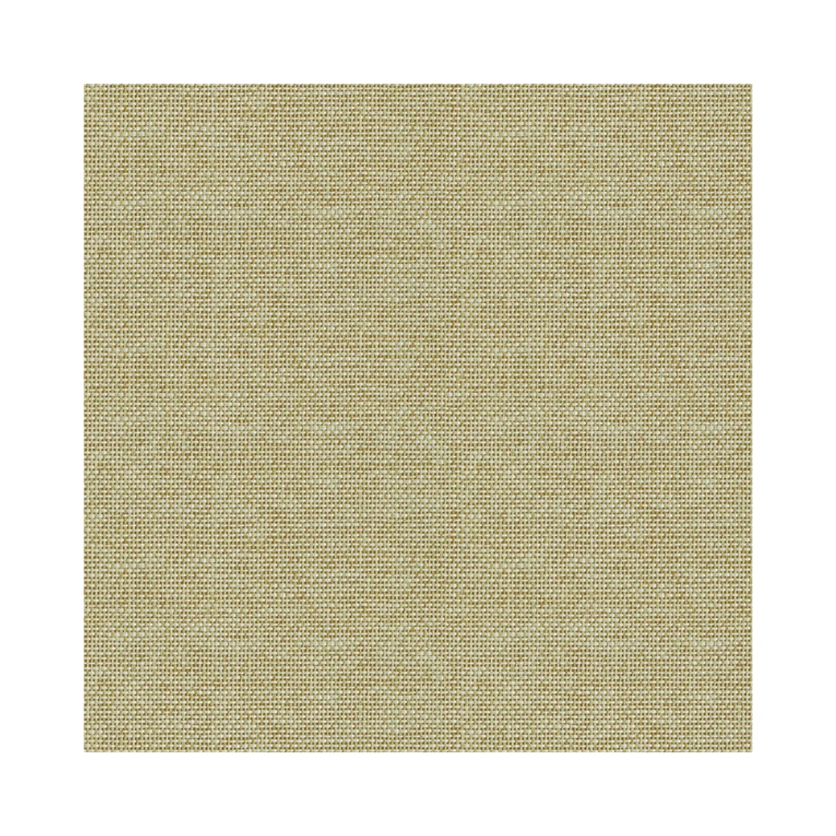 Lamiera Cane Laminates 1 MM (Mica/Sunmica) | DG806