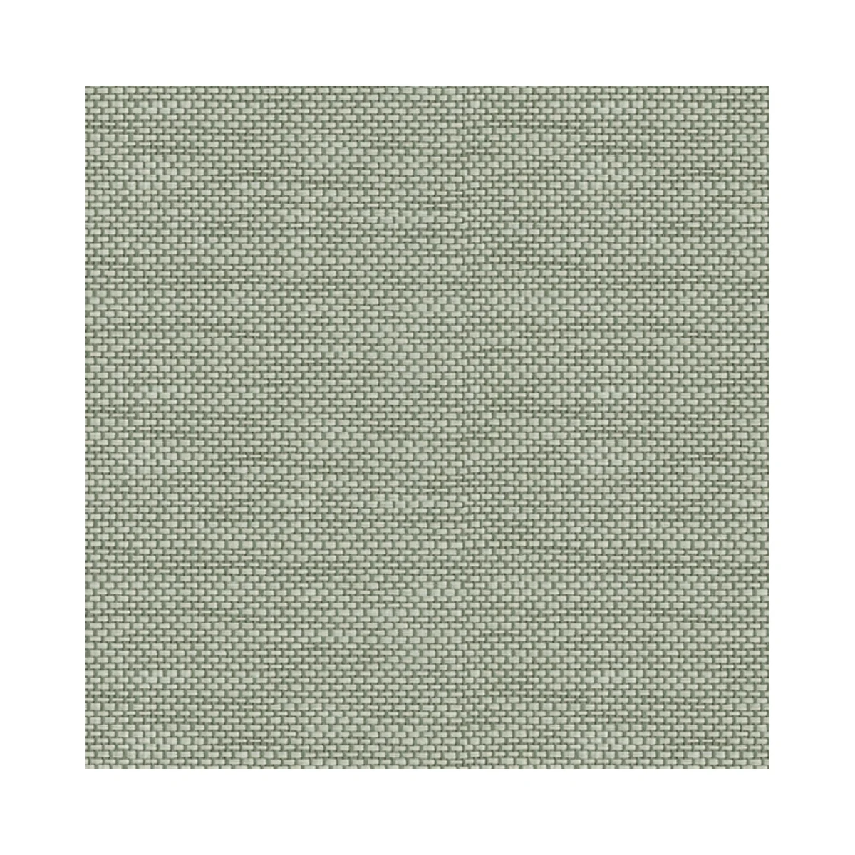 Lamiera Cane Laminates 1 MM (Mica/Sunmica) | DG807