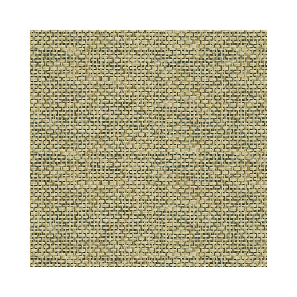 Lamiera Cane Laminates 1 MM (Mica/Sunmica) | DG811