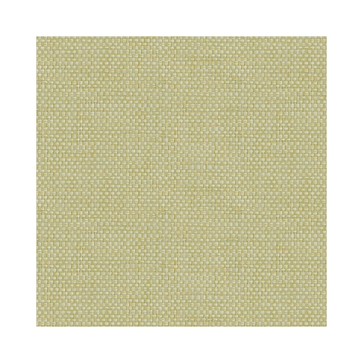Lamiera Cane Laminates 1 MM (Mica/Sunmica) | DG812