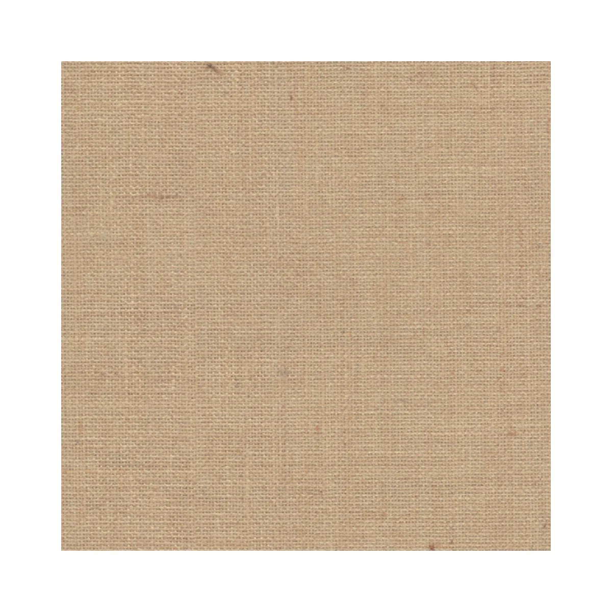 Lamiera Cane Laminates 1 MM (Mica/Sunmica) | DG824