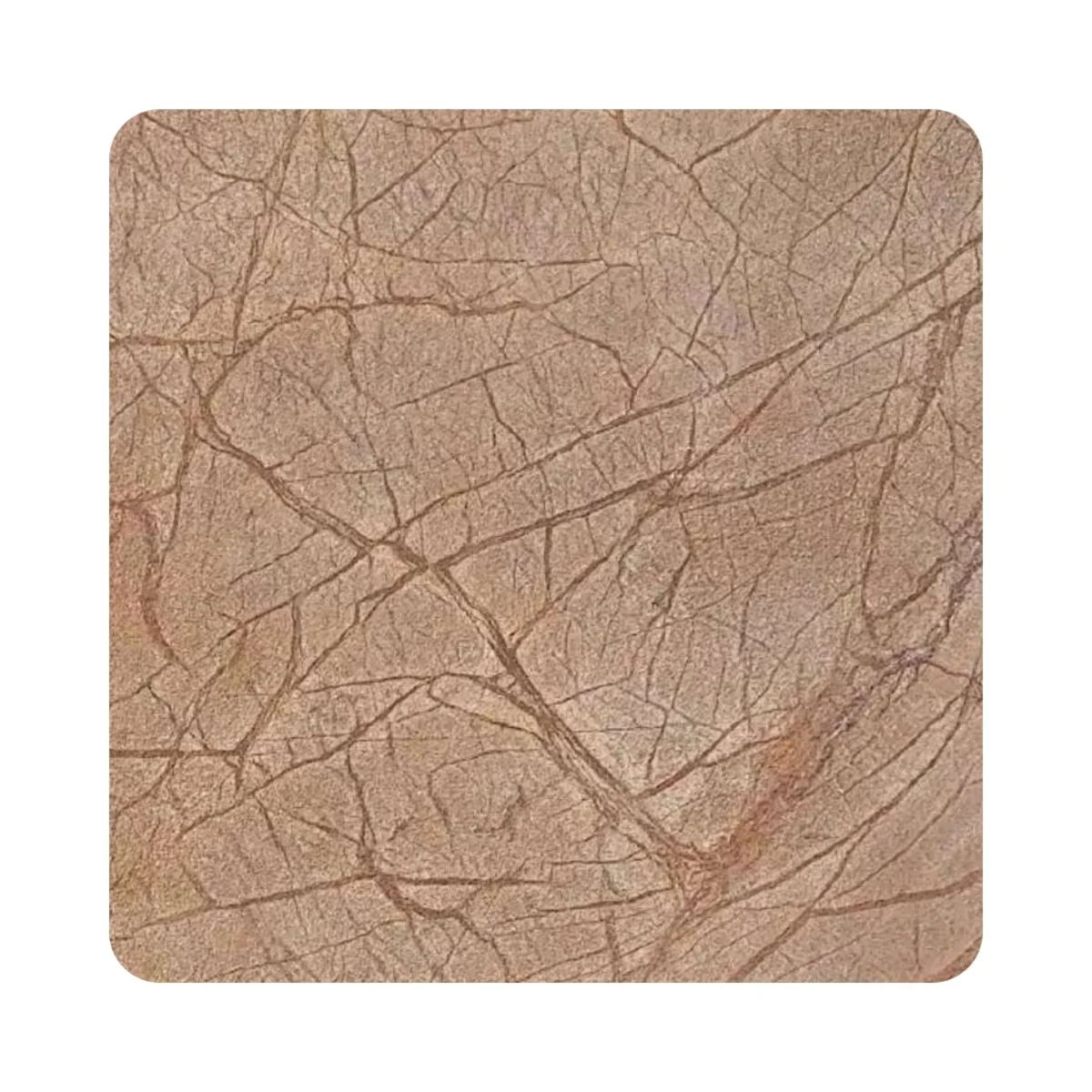 Stoniq Grainy Stone Veneer 8 Feet x 4 Feet | SSV 36000