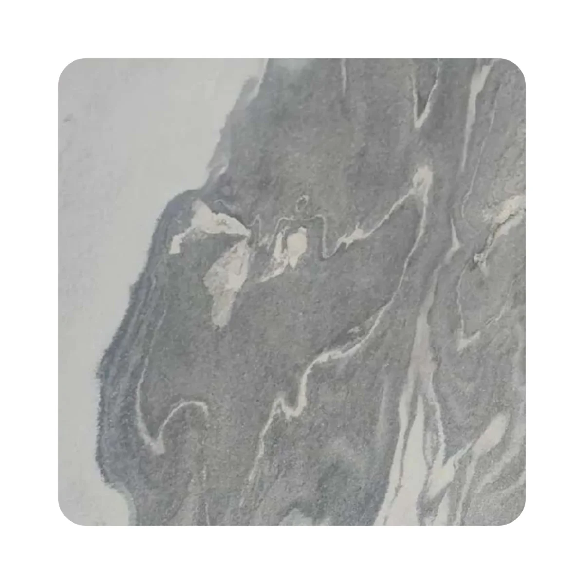 Stoniq Grainy Stone Veneer 8 Feet x 4 Feet | SSV 55000/2