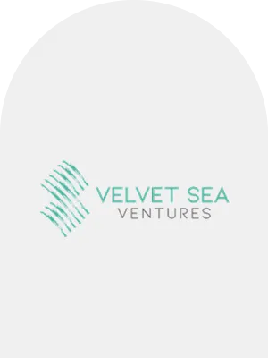 Investor